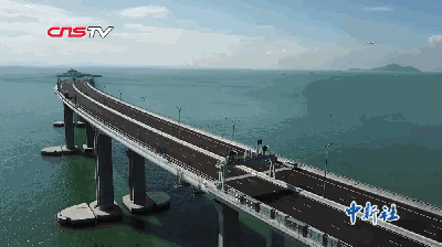 珠港澳大桥林鸣：核心技术买不来也求不来，只能靠自己！