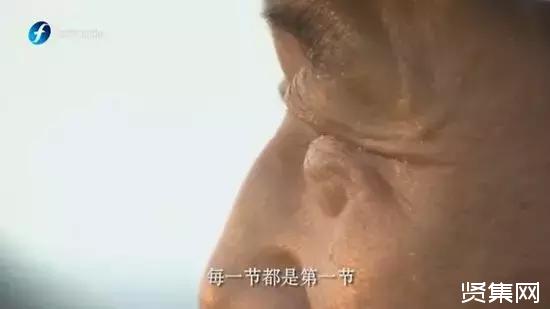 珠港澳大桥林鸣：核心技术买不来也求不来，只能靠自己！